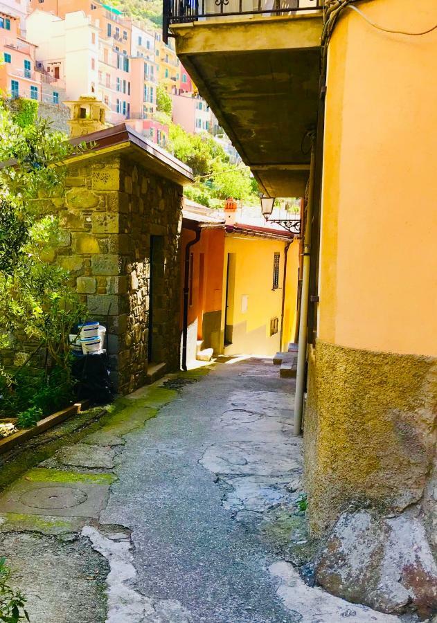 Willy'S Apartment Manarola Bagian luar foto