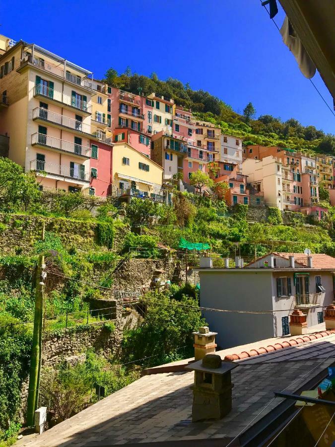 Willy'S Apartment Manarola Bagian luar foto